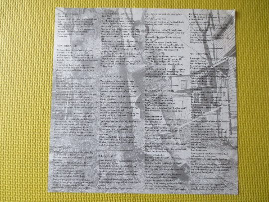 Bruce Springsteen – Born in the USA (1984) Vinyl LP